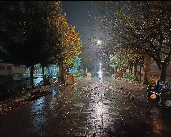 واحد شیک و پرنور