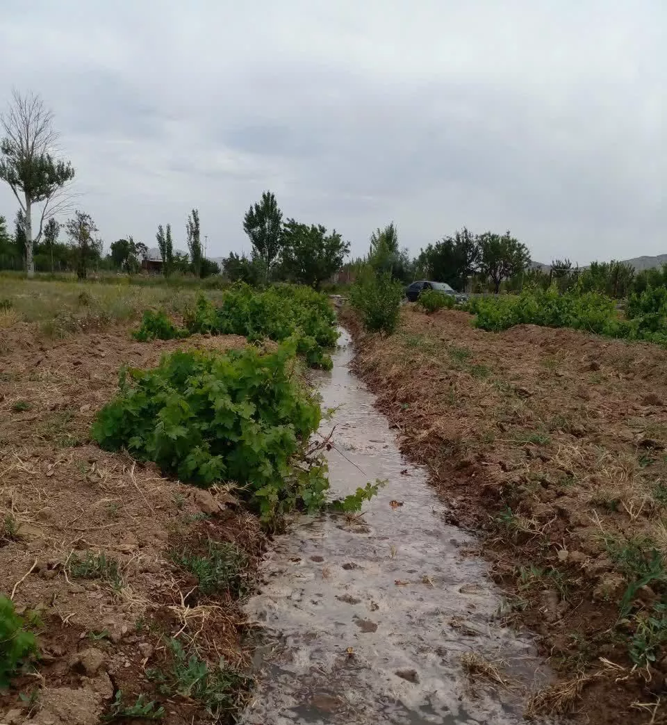 باغ حسین آباد بغدادی پایین