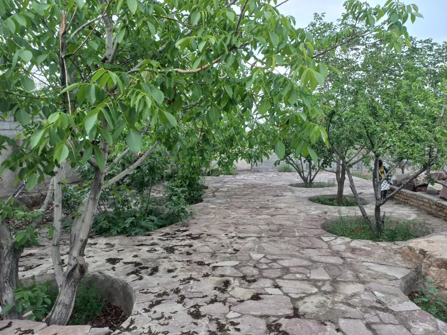 باغچه ۵۰۰ متری
