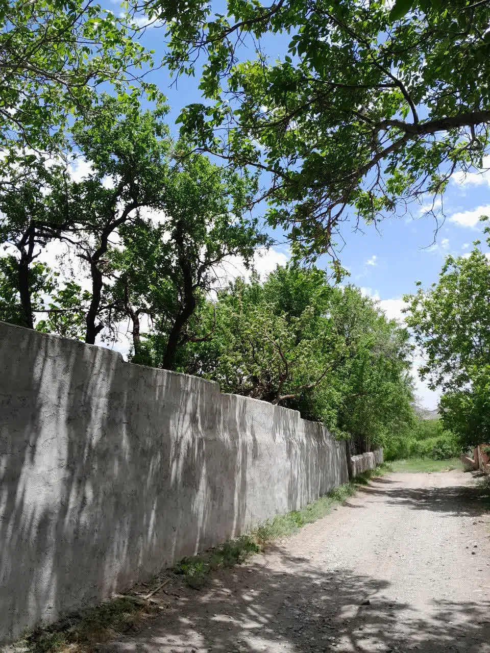 باغ ۱۰۰۰ متری با ۷۰ متر بنا