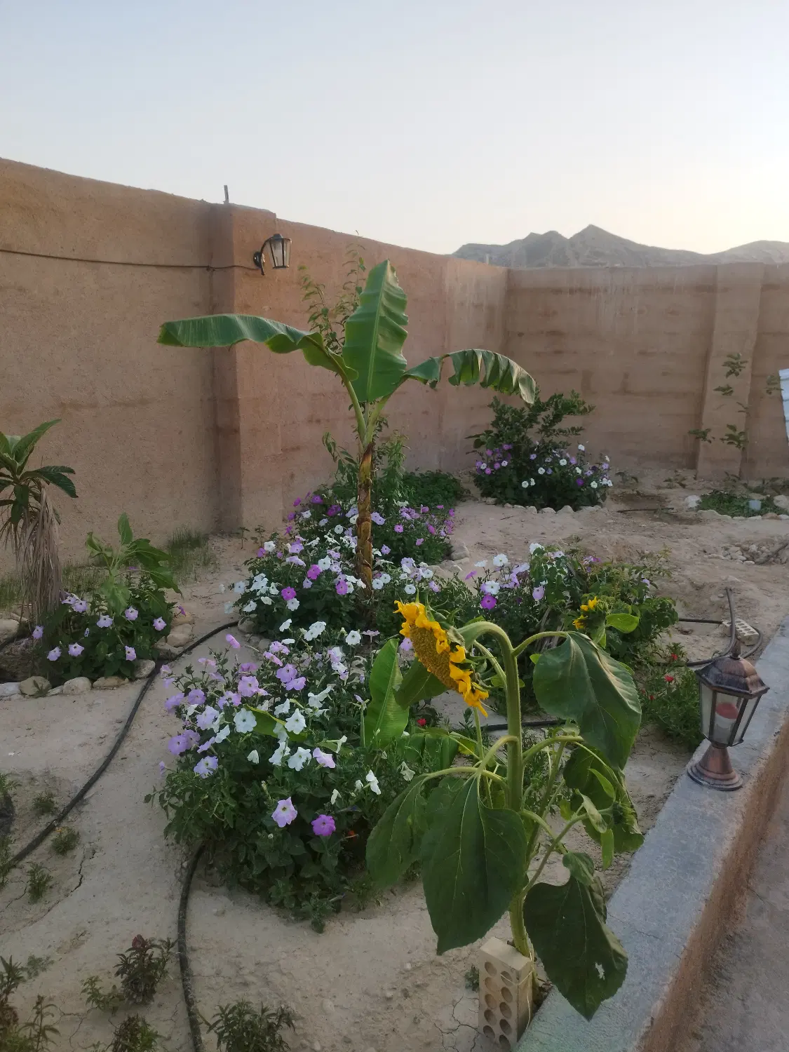 فروش باغشهری حسین اباد قبله