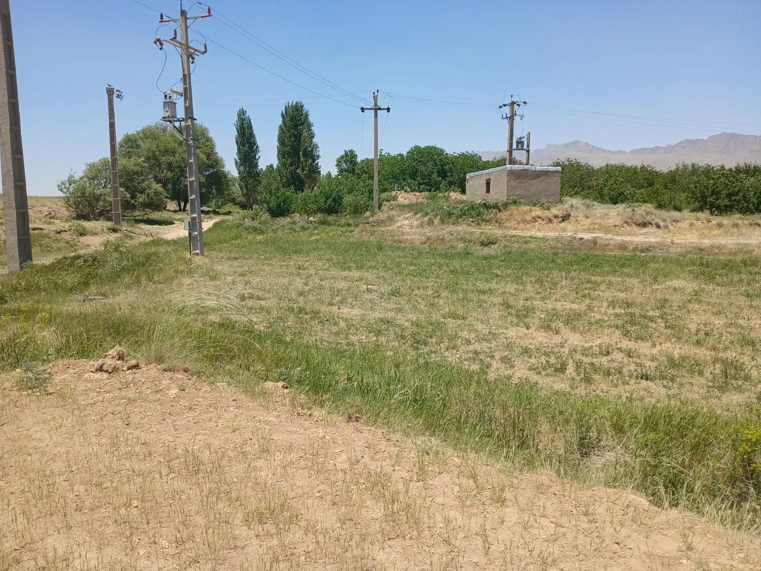 زمین باغ آستانه