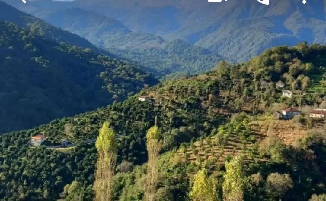 سبز،خوش آب و هوا،دنج و دارای چشم اندازی بی نظیر