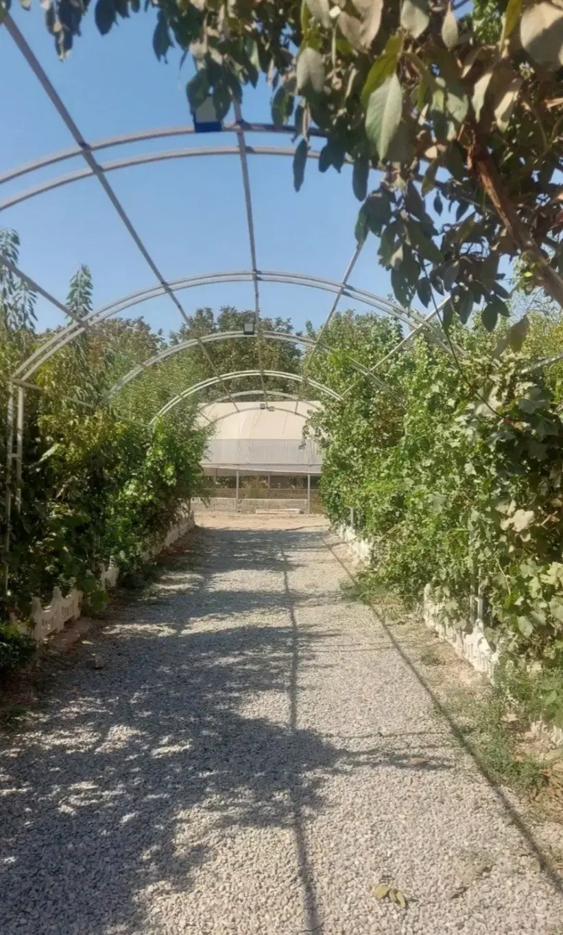 کردان سنددار معاوضه با آپارتمان شمال