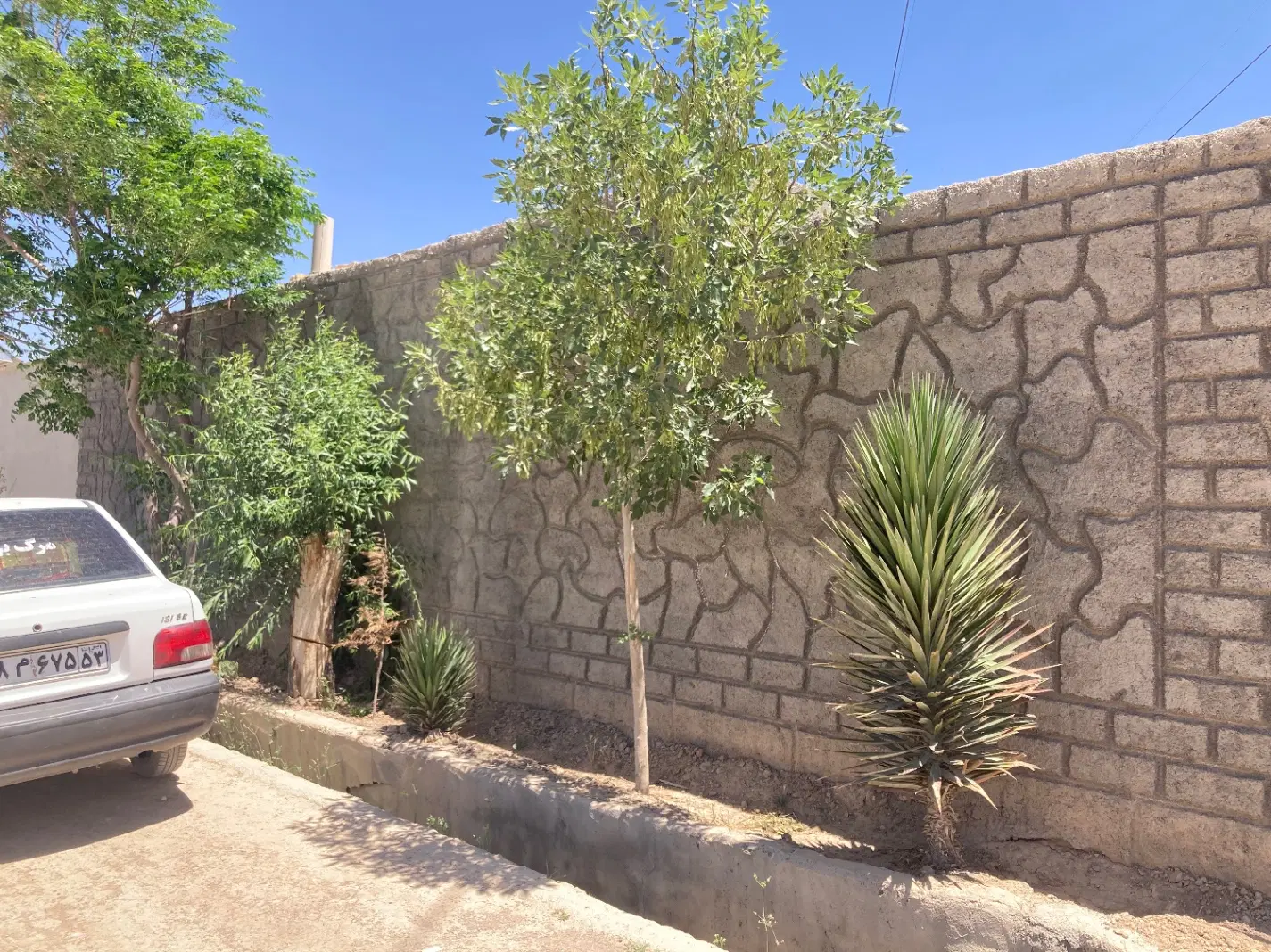 باغ