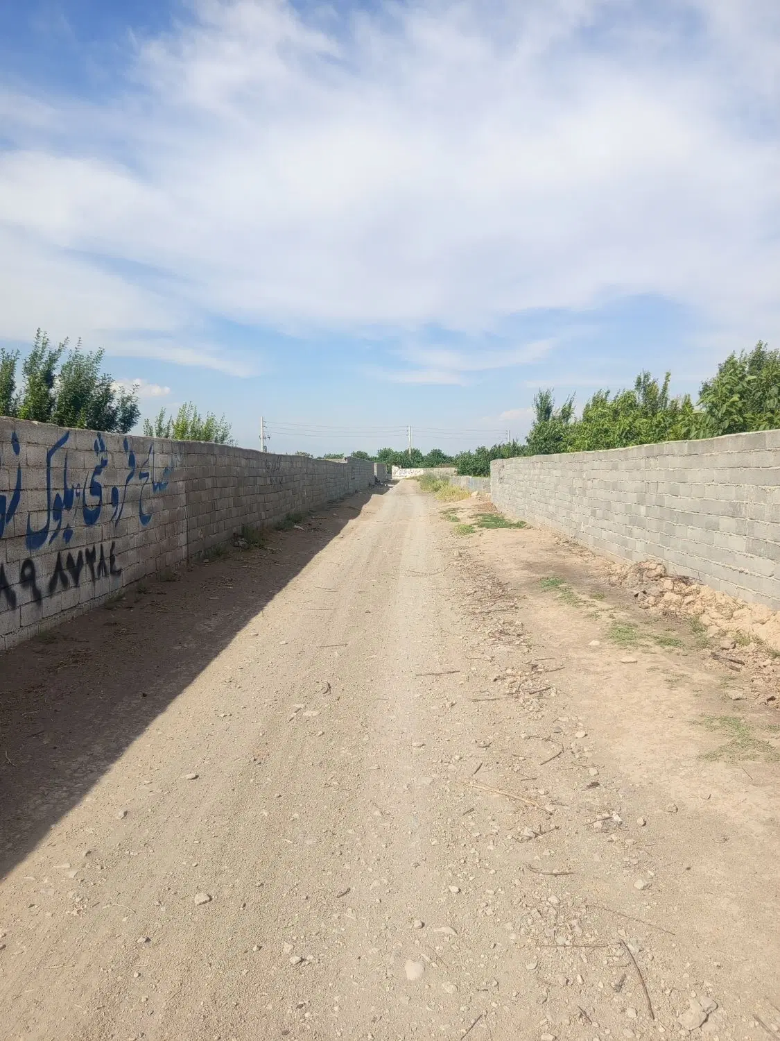 باغچه هزار متری