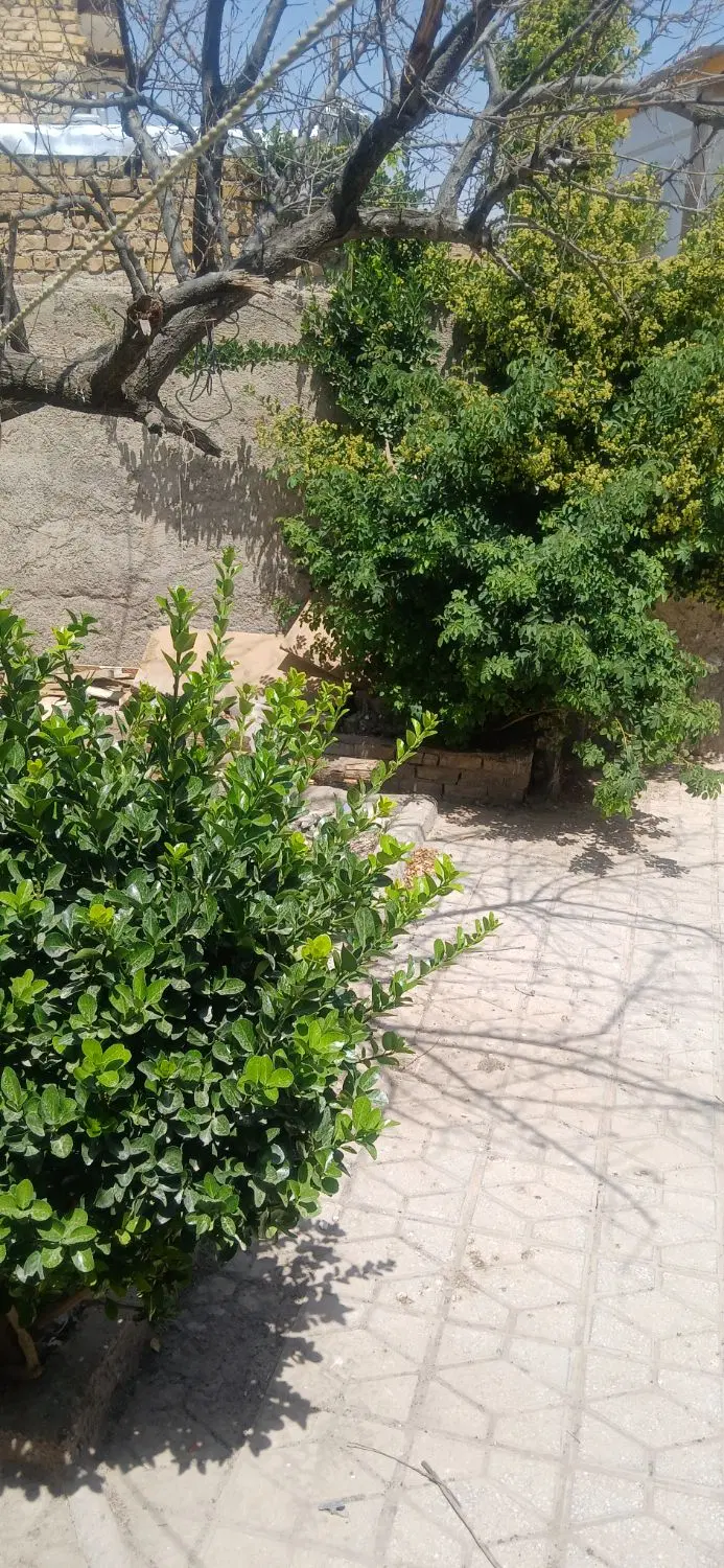 ۳۵۰ متر زمین در آلماجق
