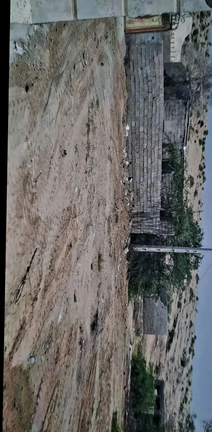 فروش زمین باغو