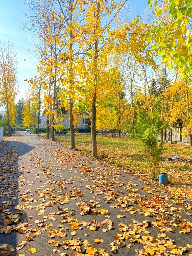 زمین 2‌نبش کنار جاده اصلی شهرکی با جواز  * متری 12