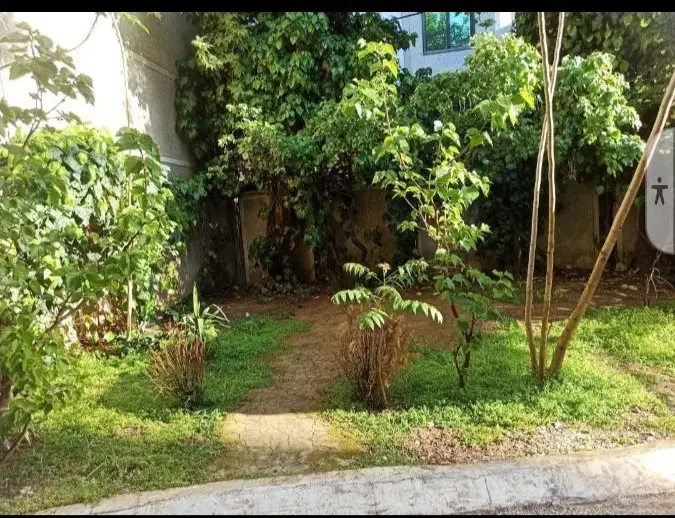 تجربه طبیعت در خانه     دوبلکس     ویلایی