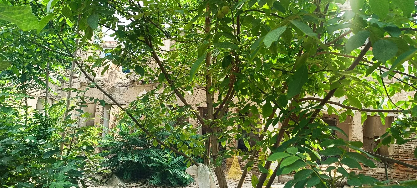 145متری  گرگانجدید 7