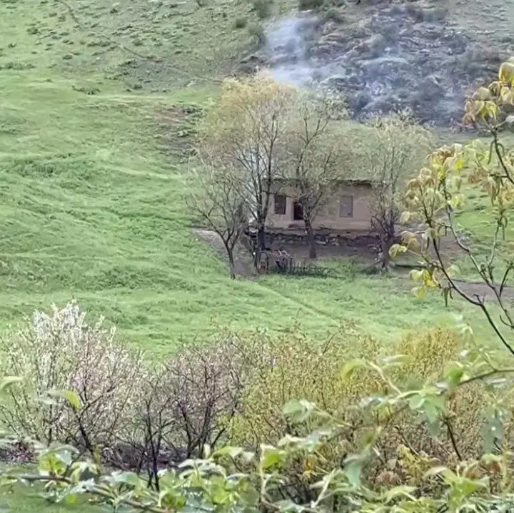 هم. خونه