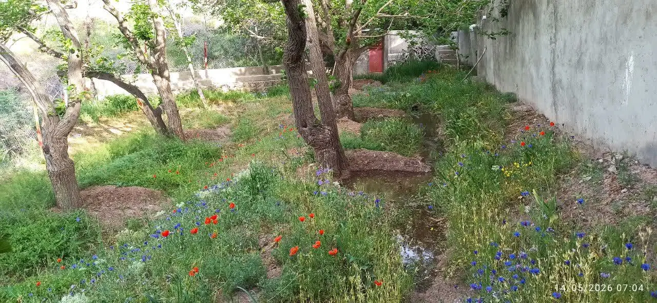 فروش باغ در بام ساوجبلاغ روستای دوزعنبر