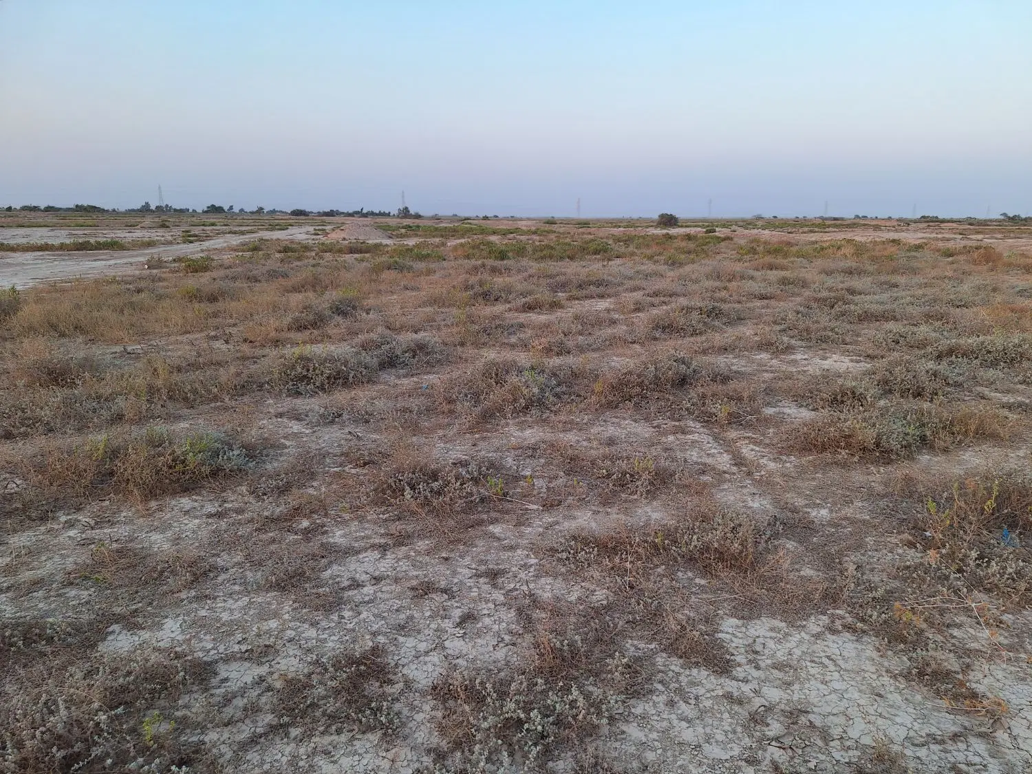 زمین کنار اتوبان بعد از بیمارستان- گناوه
