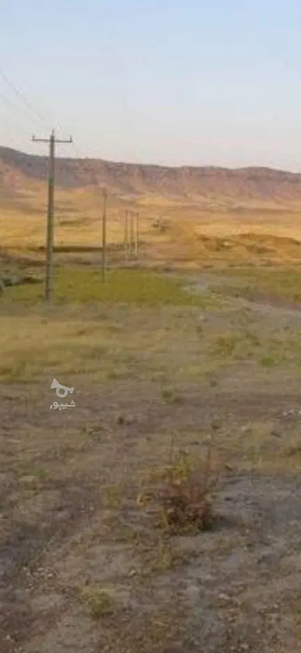 فروش زمین شهرک صدف