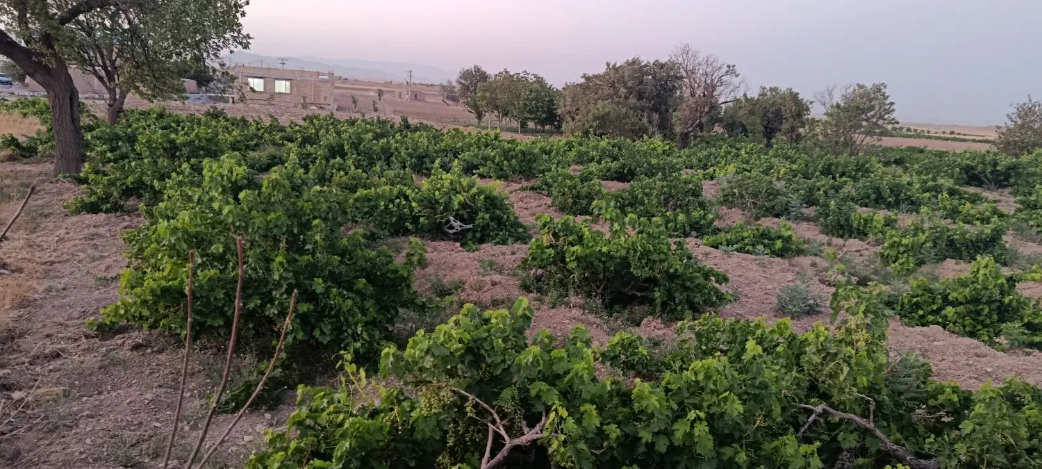 فروش زمین طرح هادی و باغ