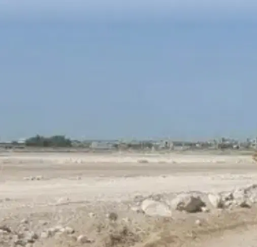 فتح یاران