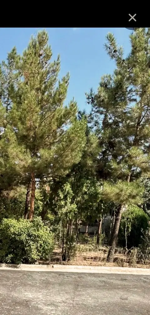 ۱۰۰ متر فاز ۲ پاسداران ۱ خواب