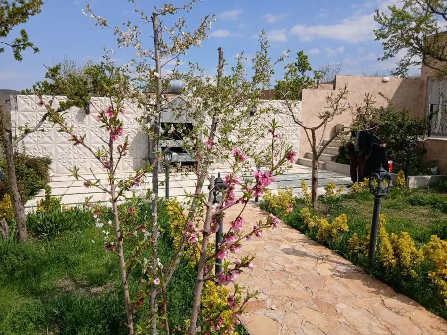 باغ ویلا عارفی ، باغ عارفی ،زمین باغی
