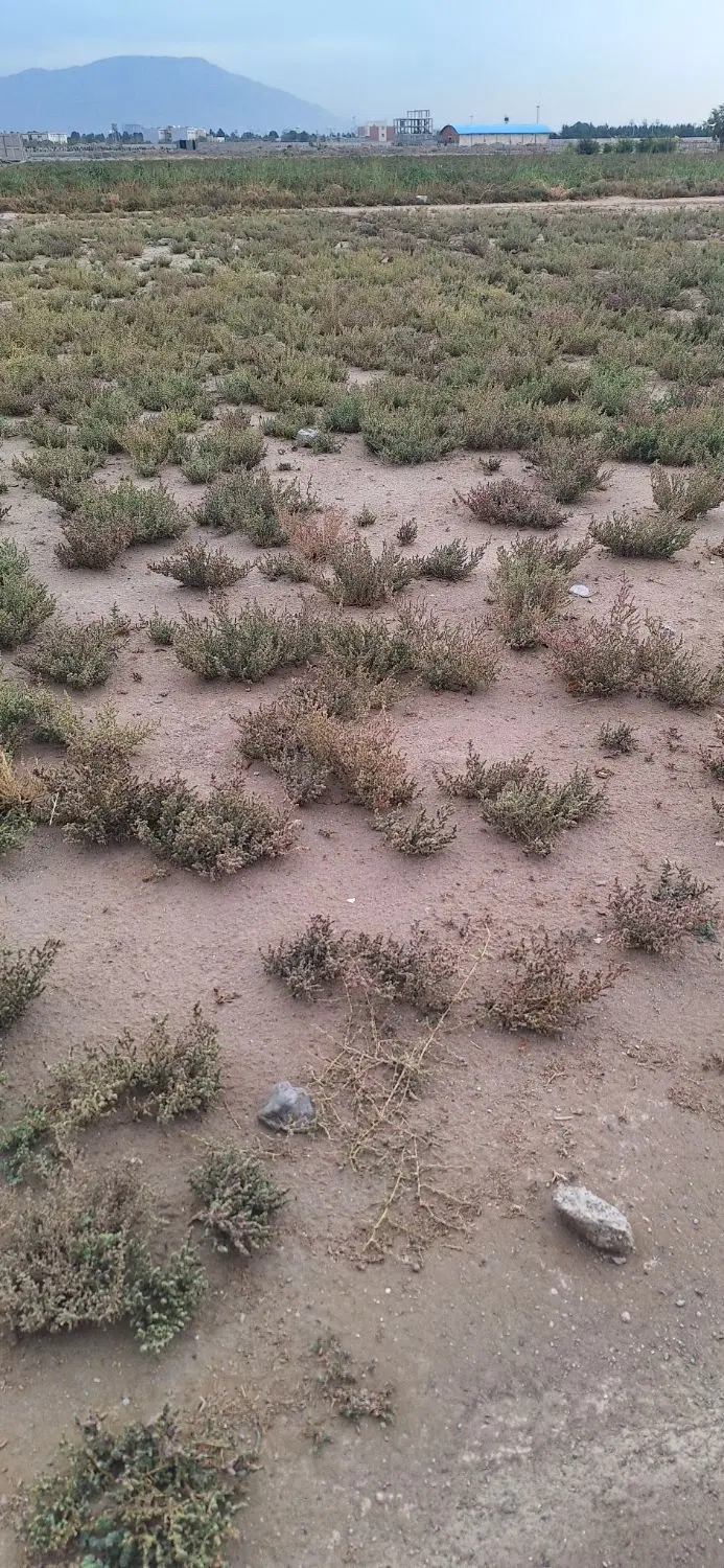 یک قطعه زمین