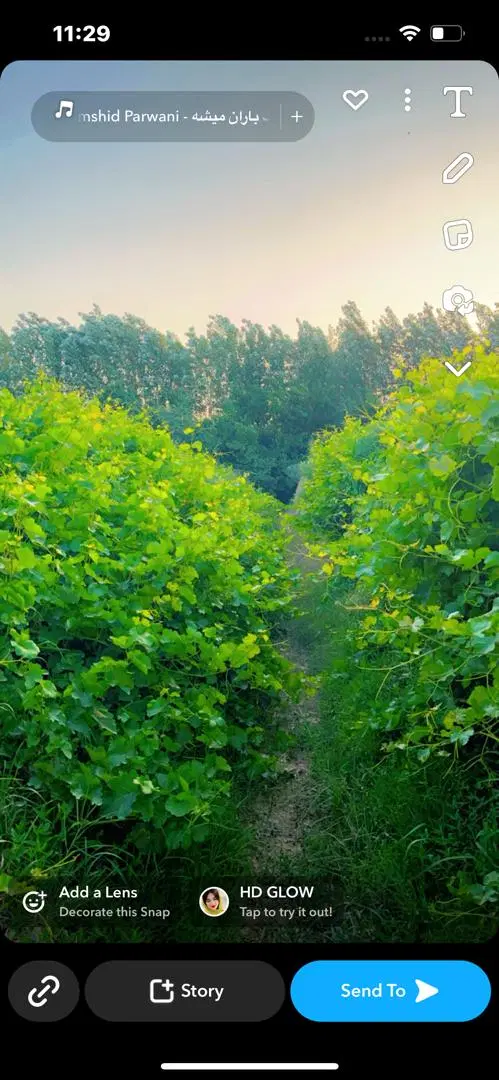 اجاره زمین کشاورزی