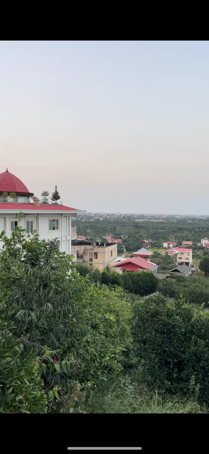 زمین ۱۰۰۰ متری پلاک یک جنگل سند شش دانگ