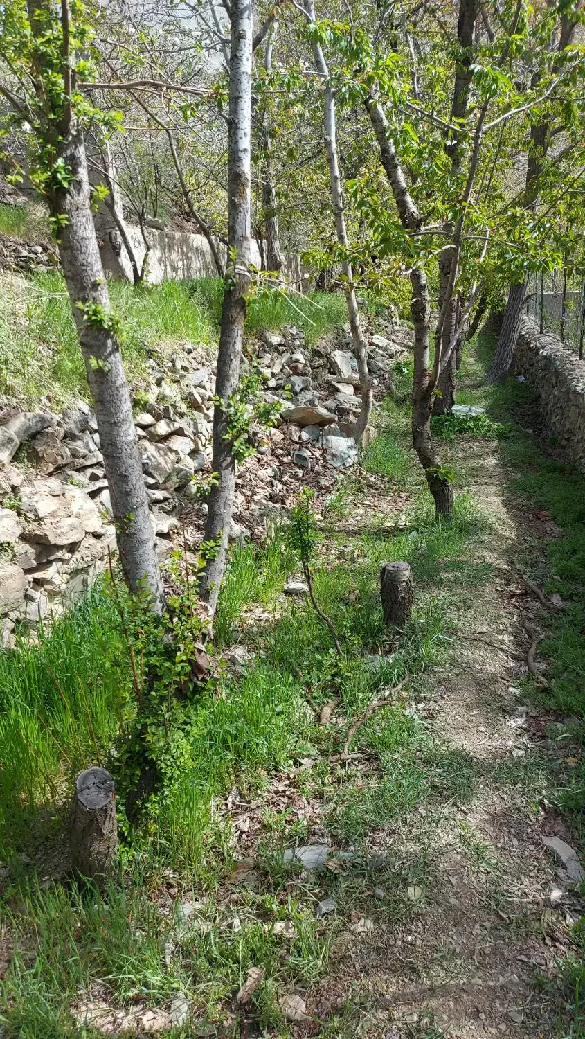 اوشان باغگل  زمین ویلایی