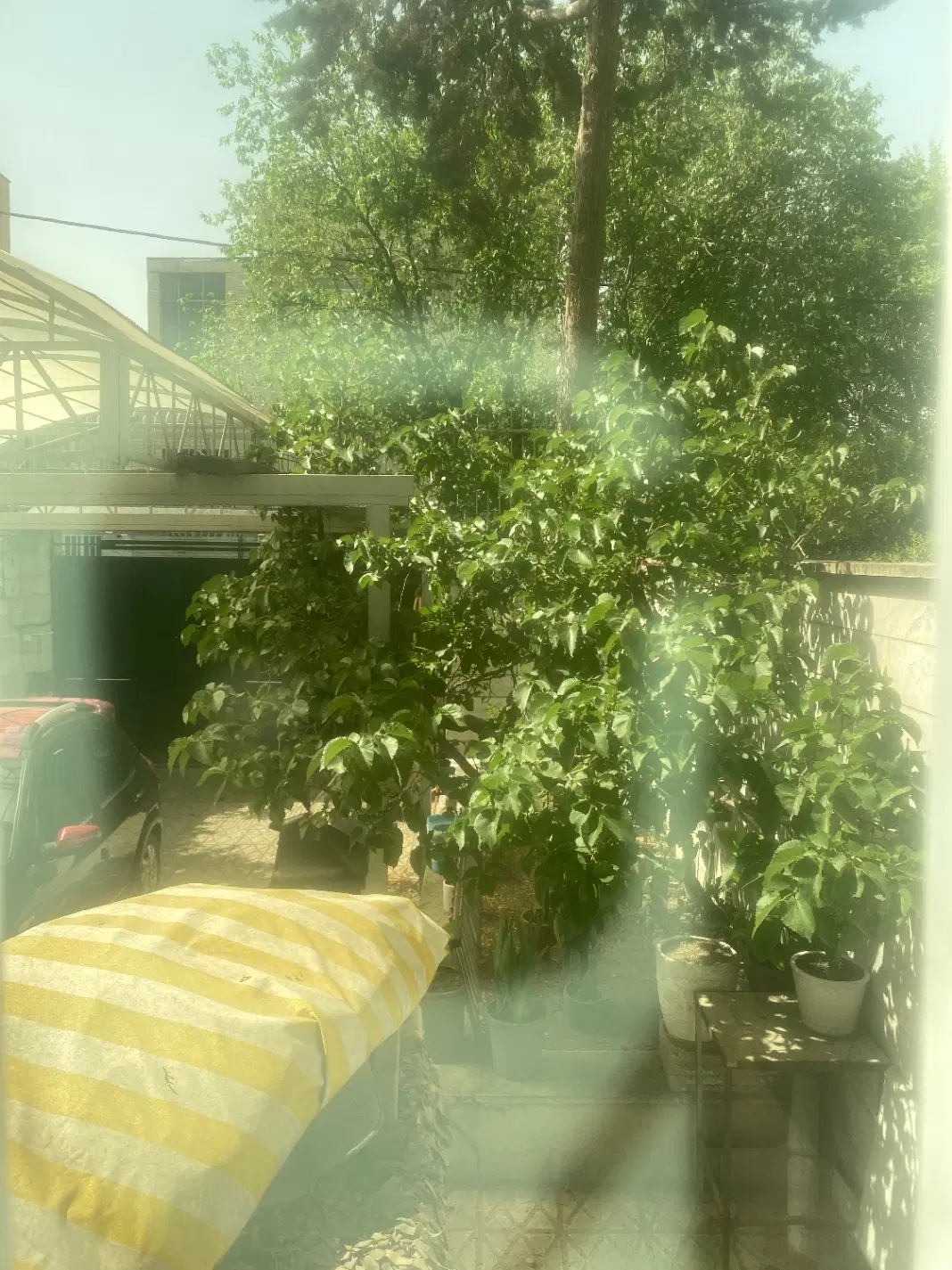 اجاره زیر همکف