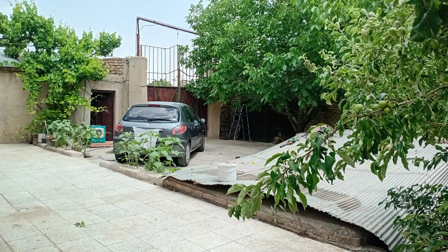 شراکت مکان