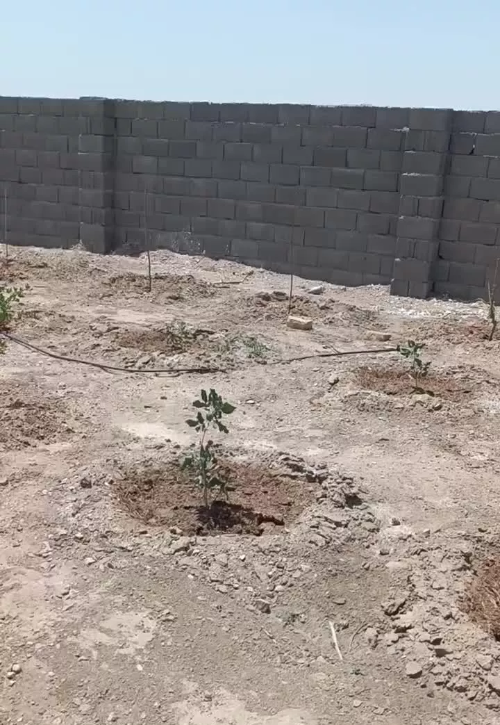 فروش باغ ویلا چهار دیواری
