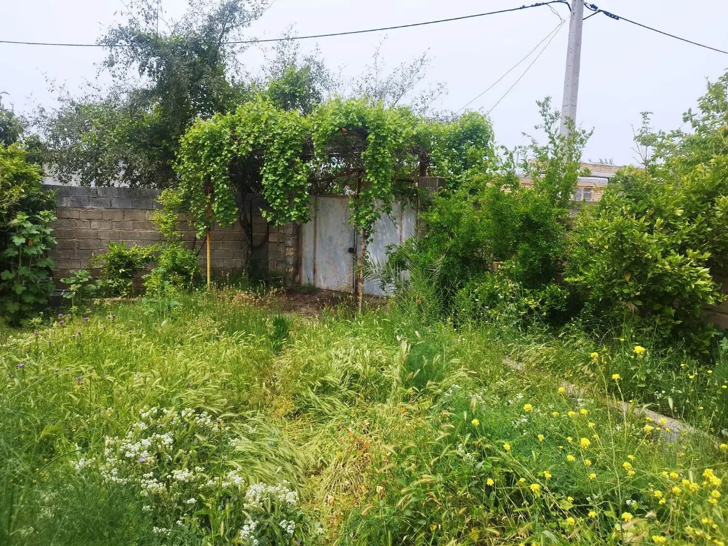 فروش منزل مسکونی در روستای اتشکده