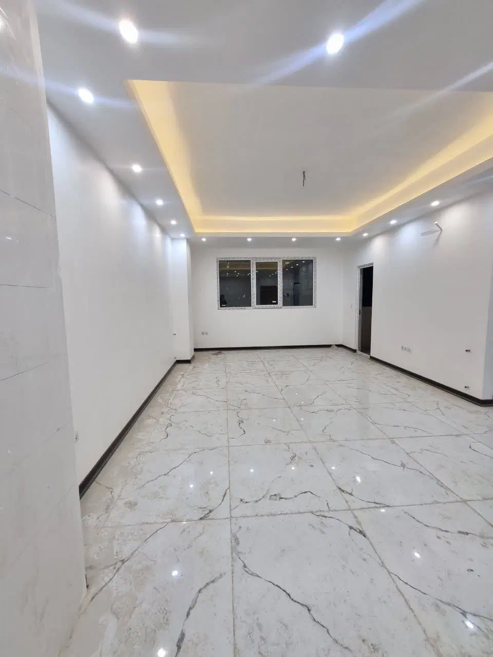 زیتون ۳۸ تک خواب