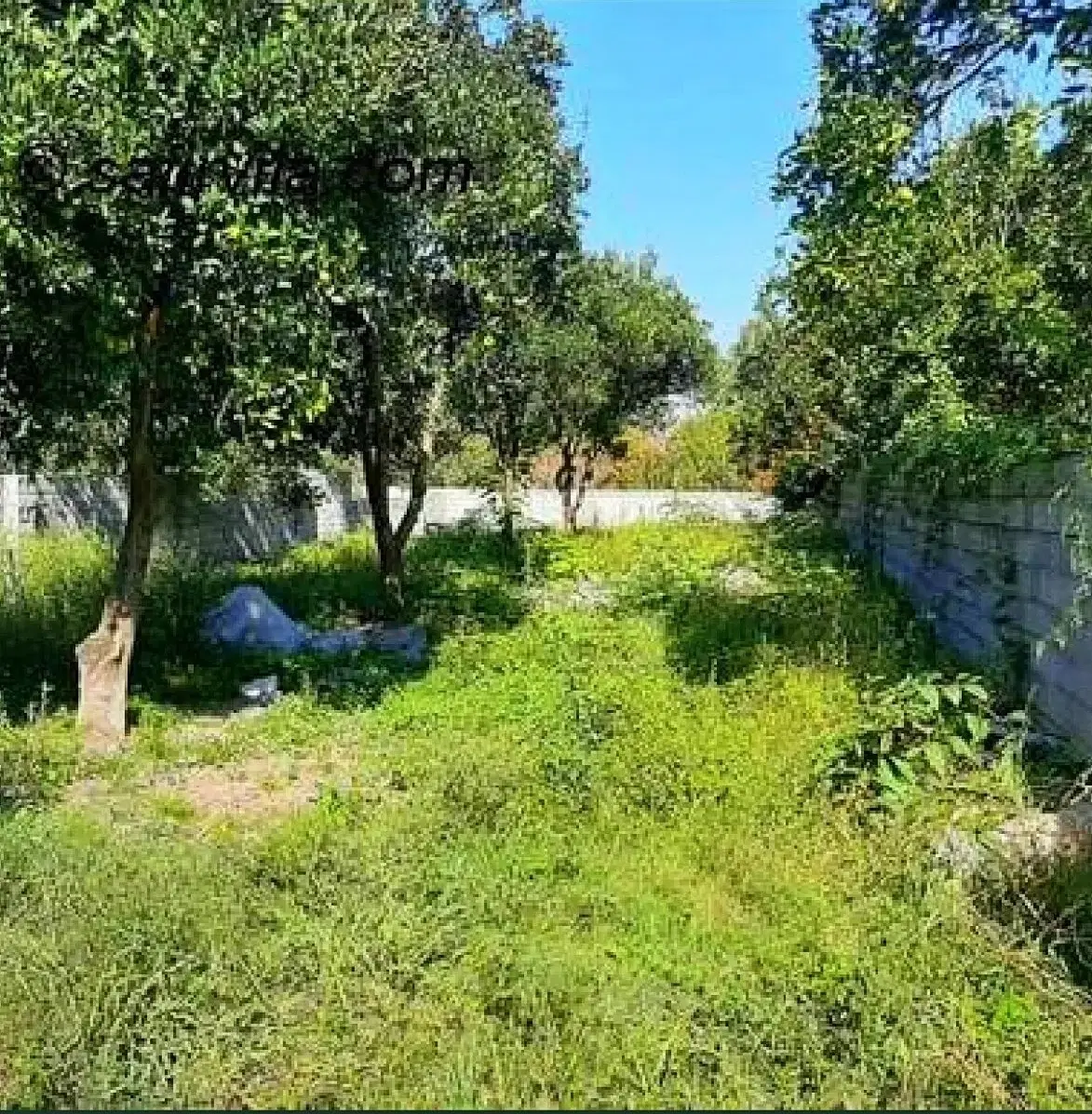 زمین 240 متری مسکونی