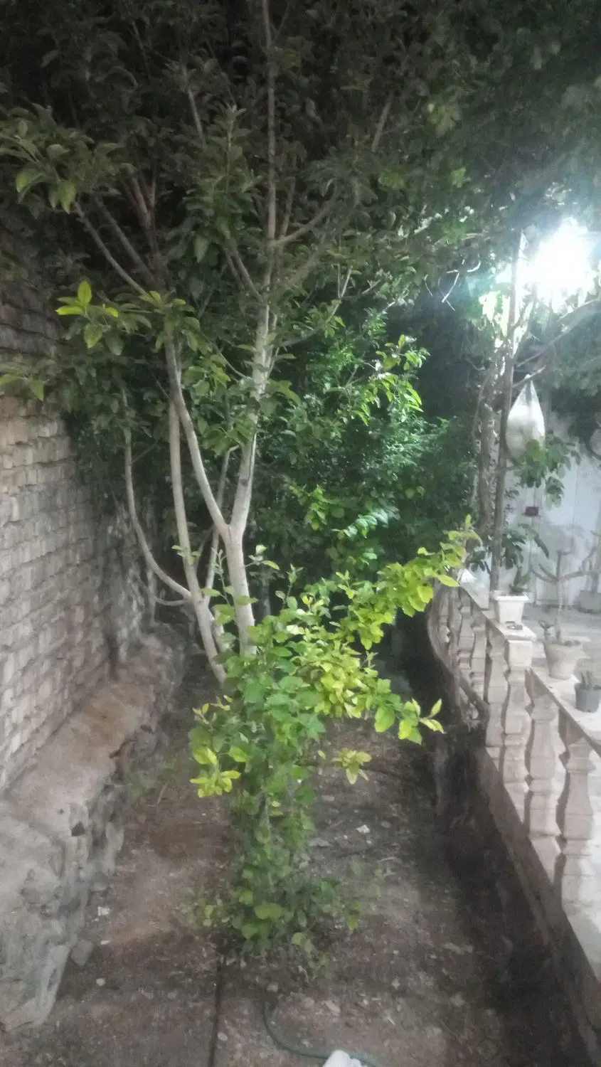 تهاتر ویلایی ورجان با واحد سه خواب قم