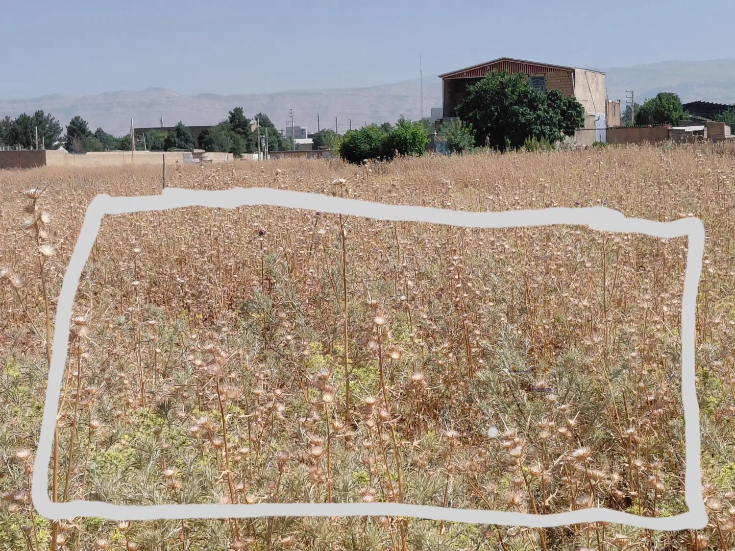 فروش زمین  ساختمانی