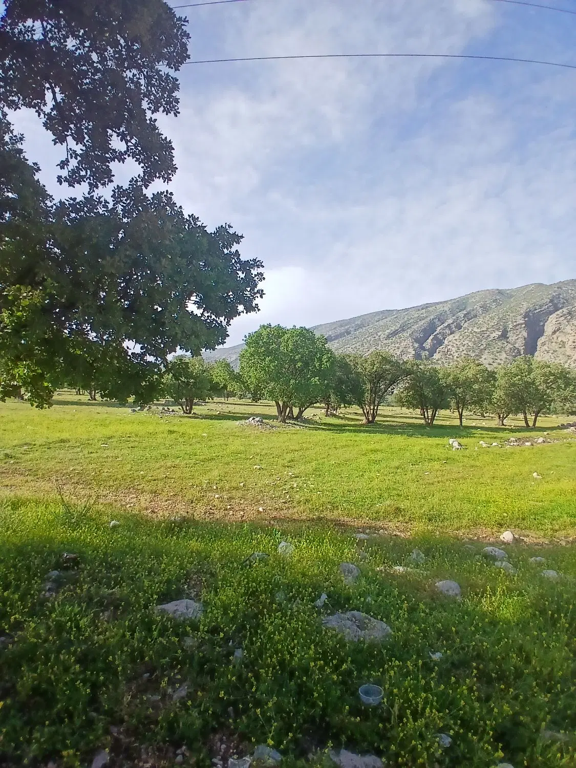 زمین مسکونی ۲۳۳ متری موردابی