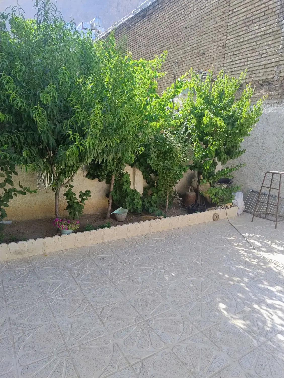 معاوضه