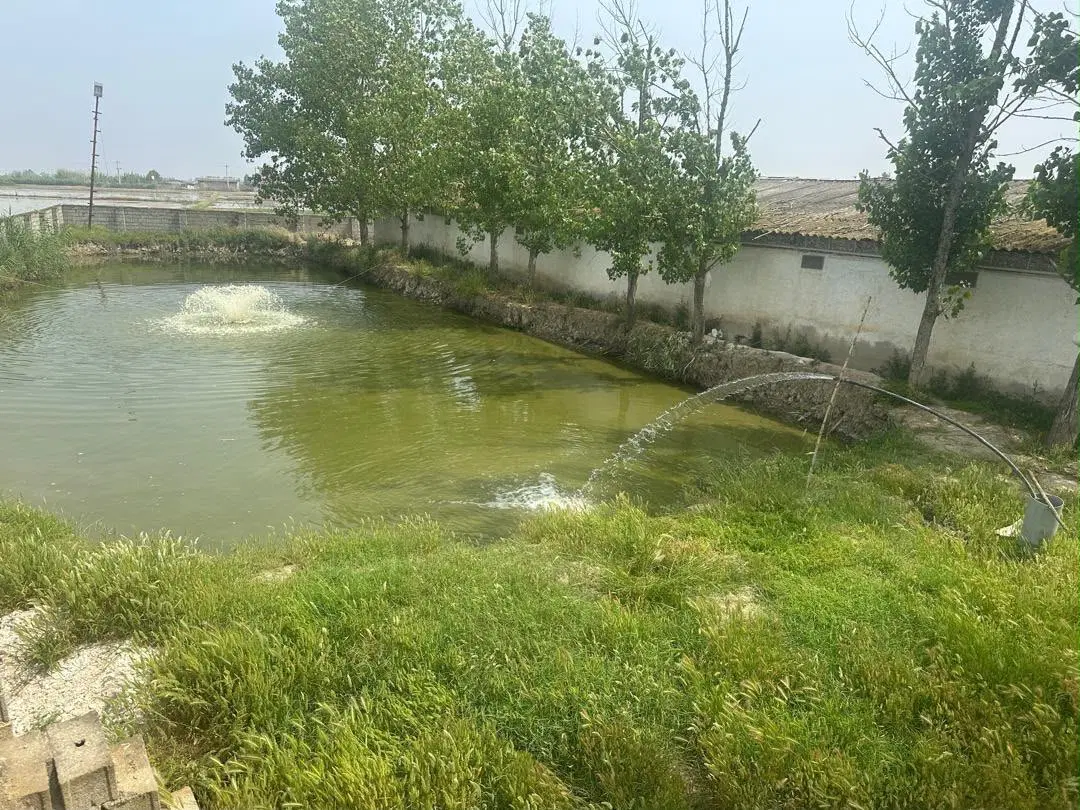 فروش مرغداری با سند در حال بهره برداری