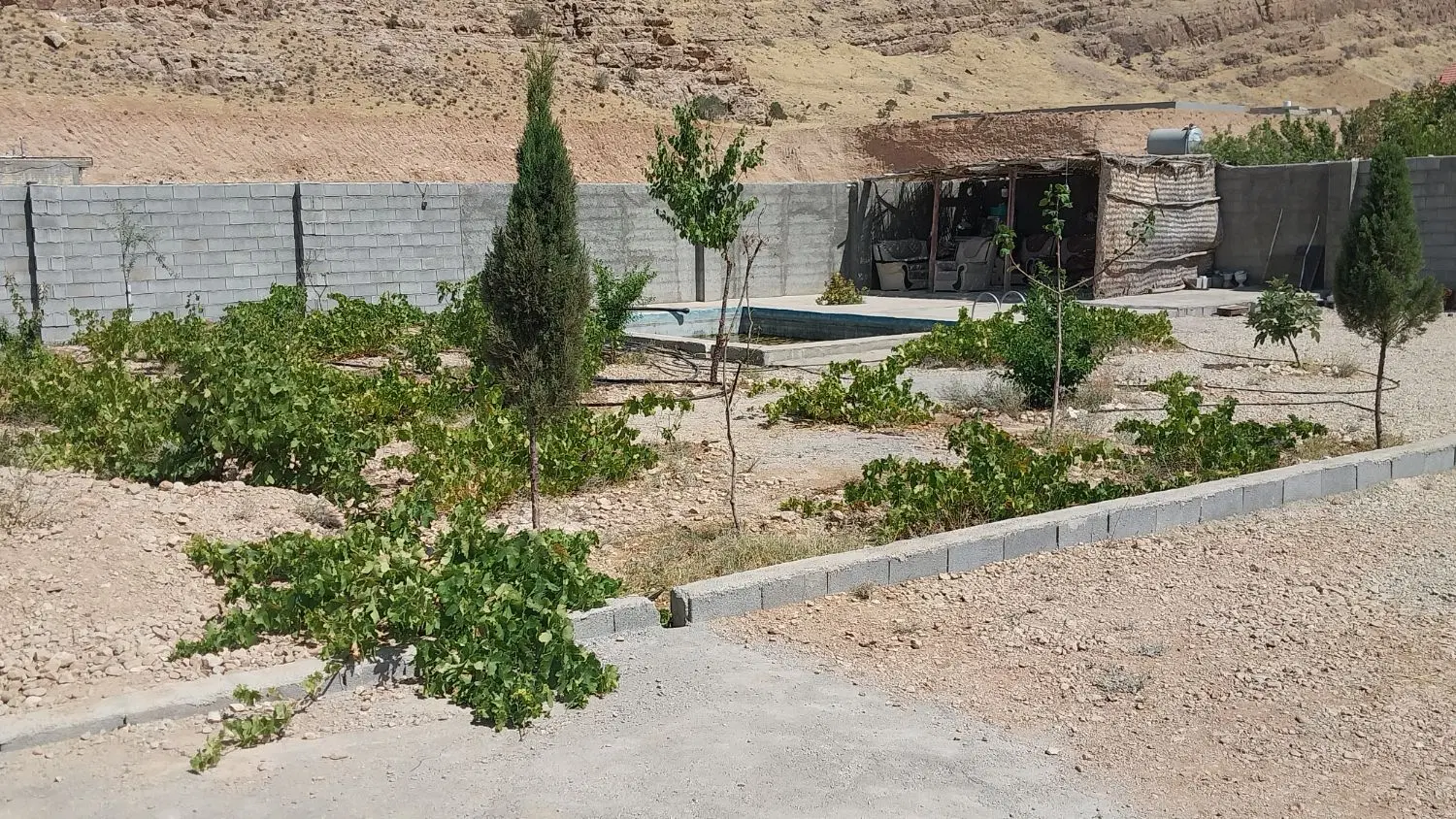 باغچه ۶۰۰ متری