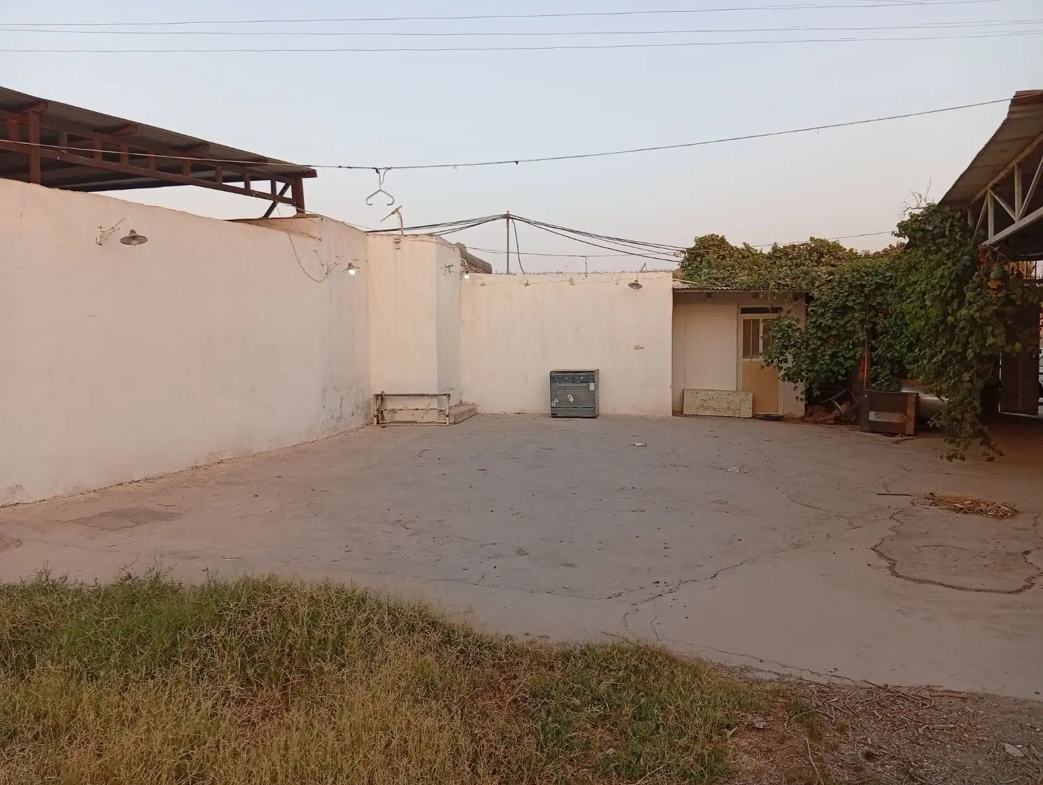 بنوار شامی