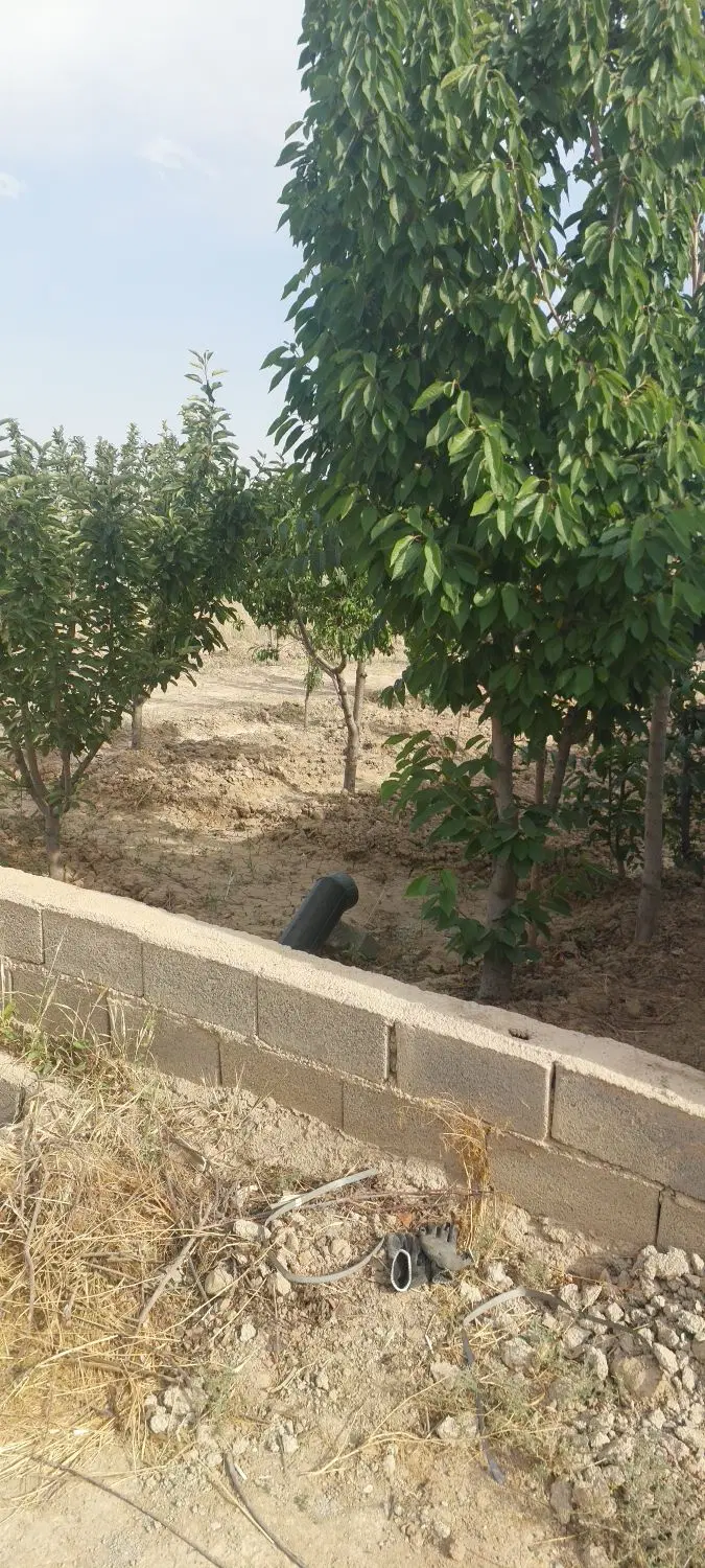 ۳۰۰متر باغچه زعفرانیه دولت اباد