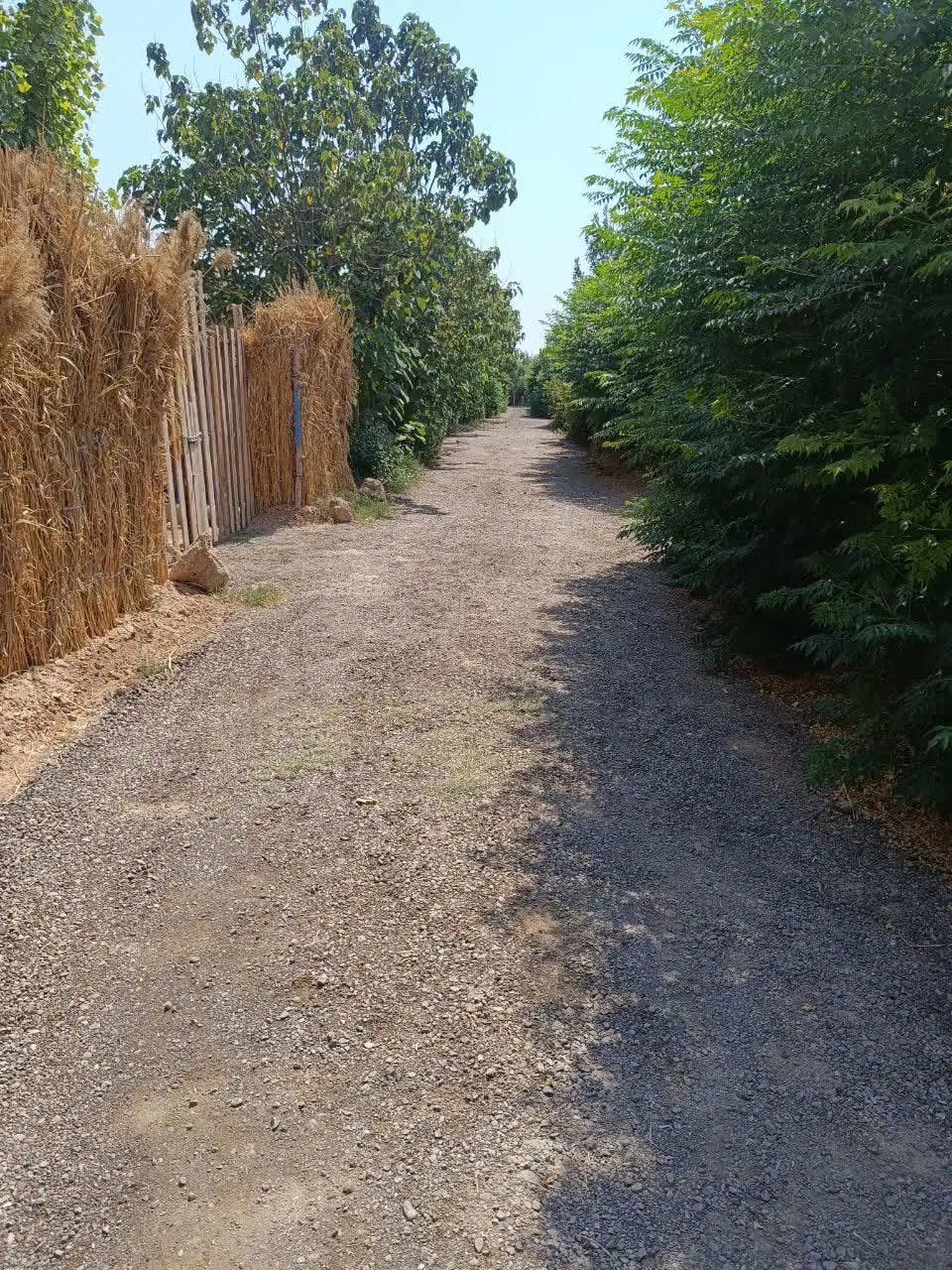 فروش زمین باغی
