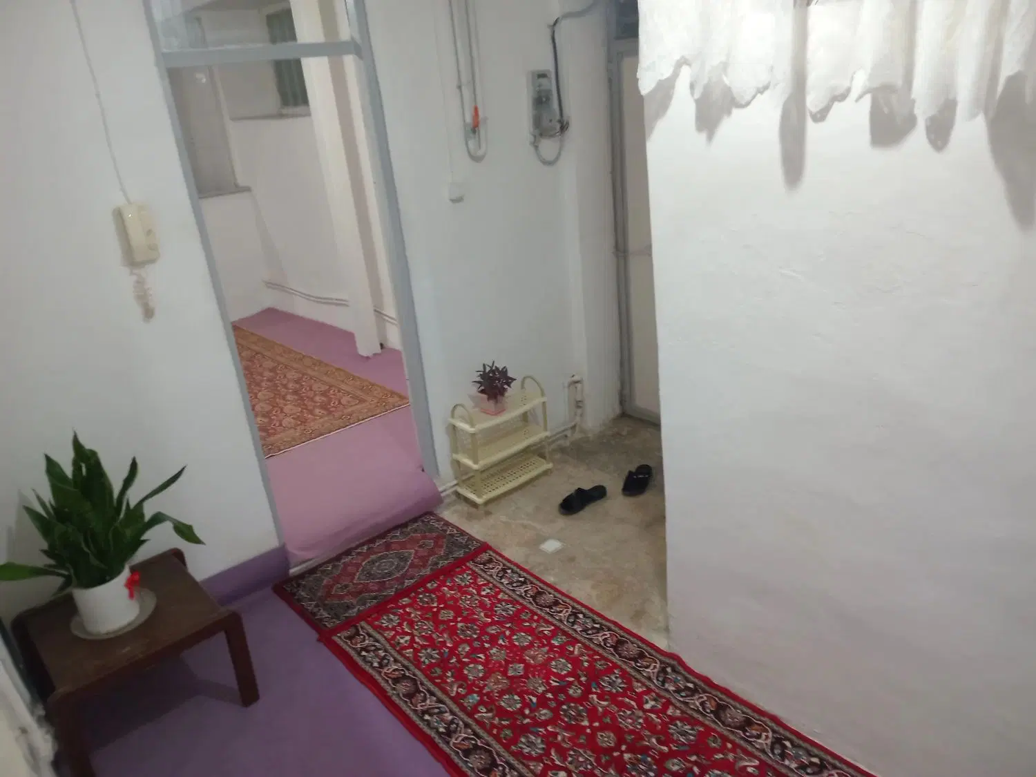 اجاره سویت