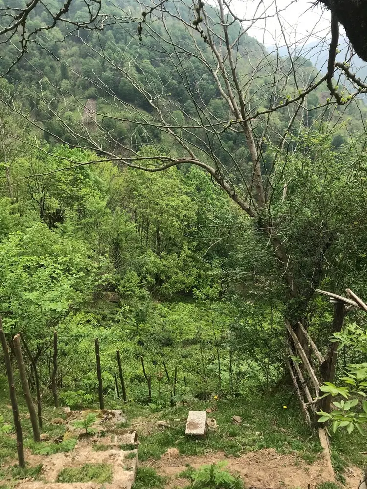 ۱۰۰متر زمین  بر جاده در سیاهمزگی