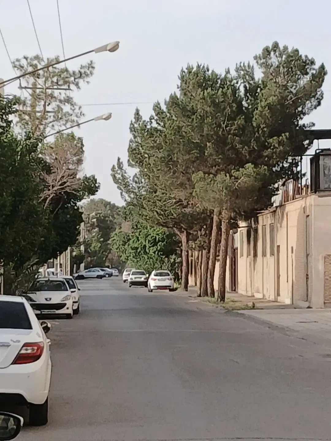 زمین خیابان صحرا