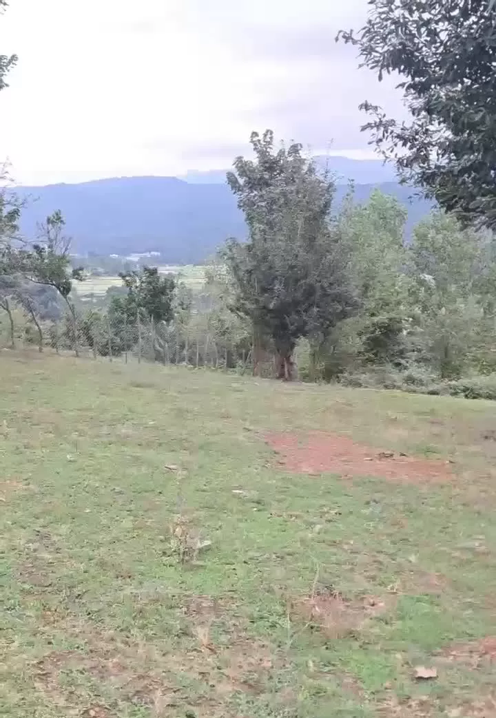 ۲۲۰۰متر