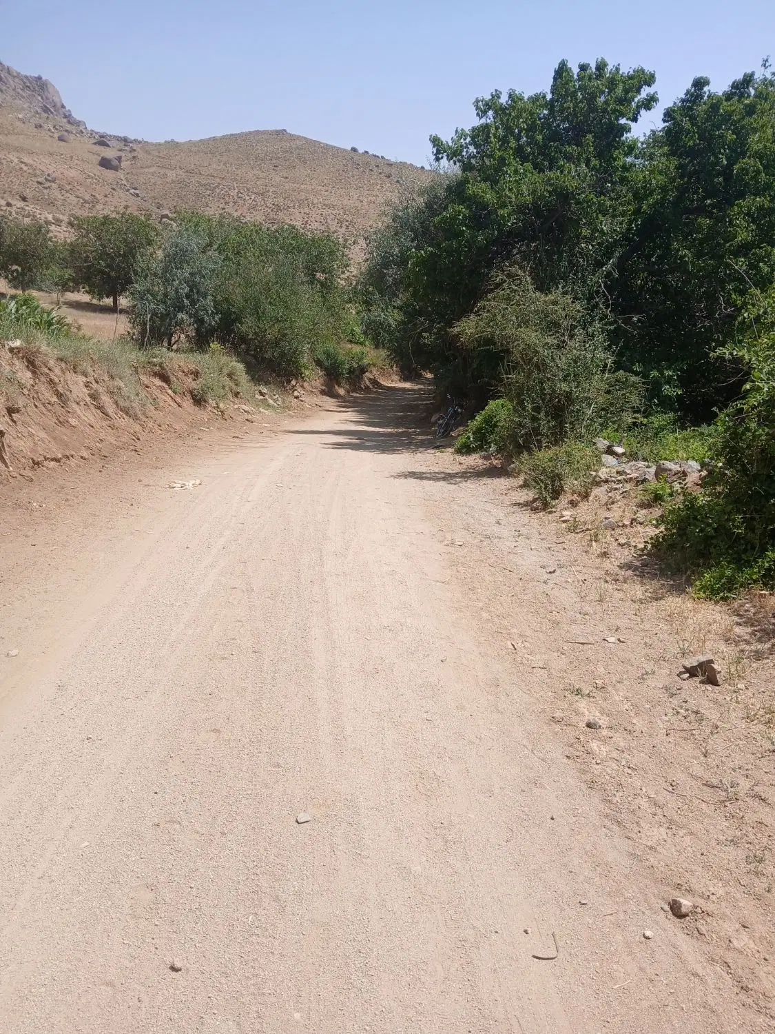 باغ امامزاده کوه