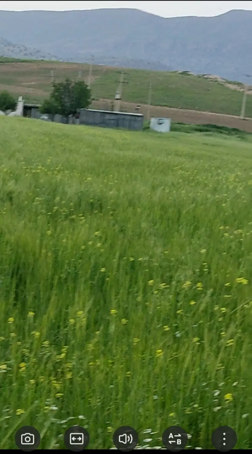 زمین ذخیره شهری سرابله