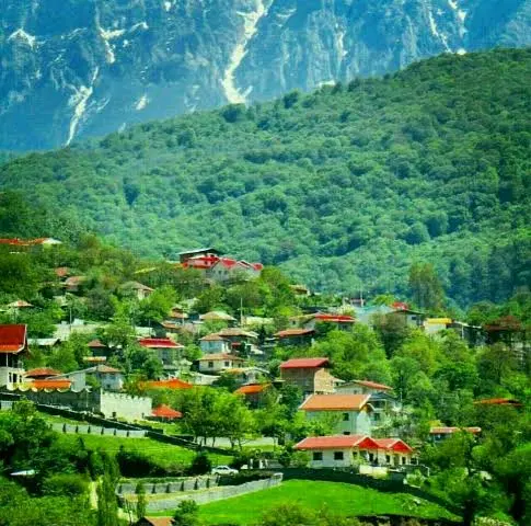 زمین