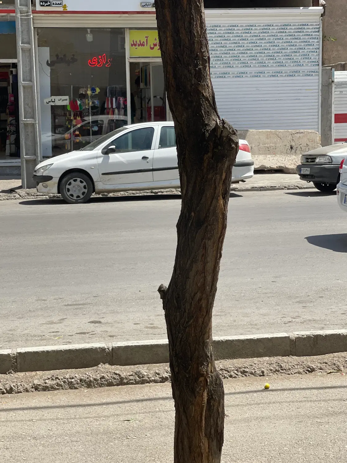 اجاره زیر زمین به مساحت ۱۶۰ ارتفاع ۳_۵